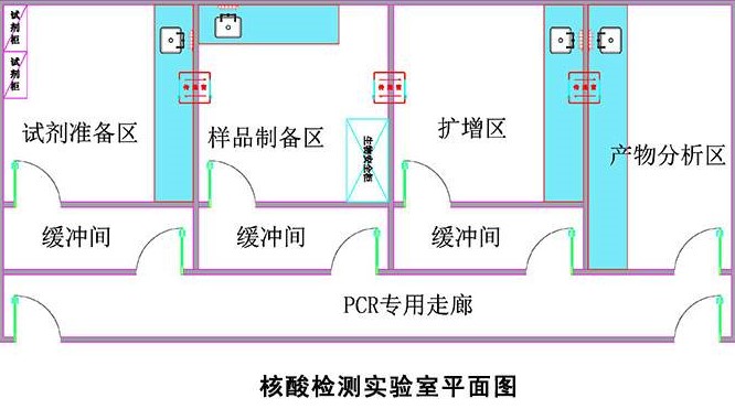 PCR實驗室平面設(shè)計